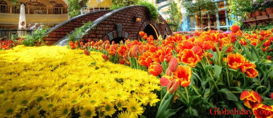 Beautiful-Bellagio-Flowers-Las-Vegas-USA