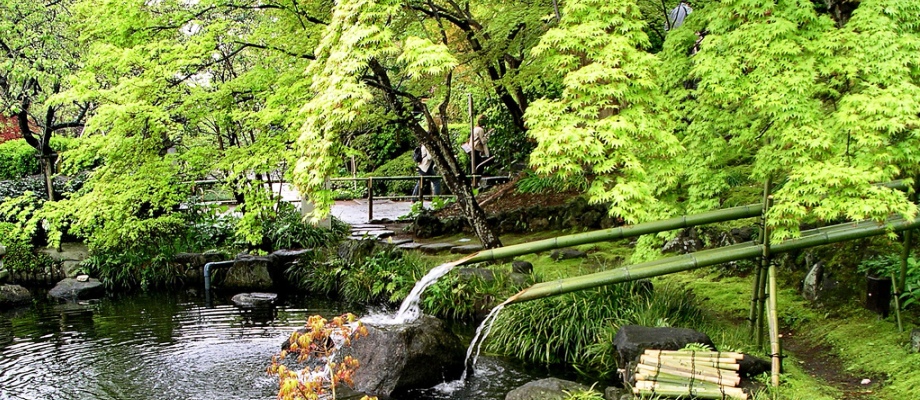 Kamakura -blue-lotus