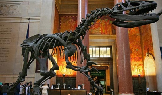 American Museum of Natural History