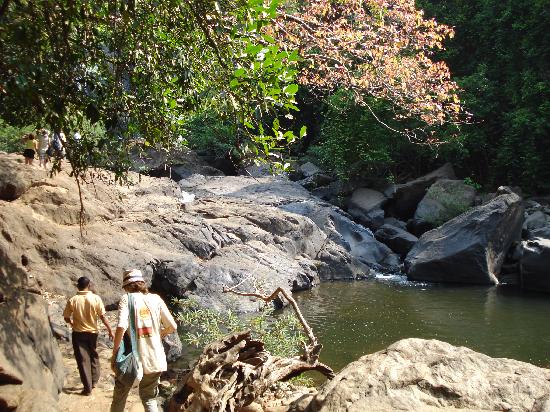 Bhagwan Mahavir Wildlife Sanctuary