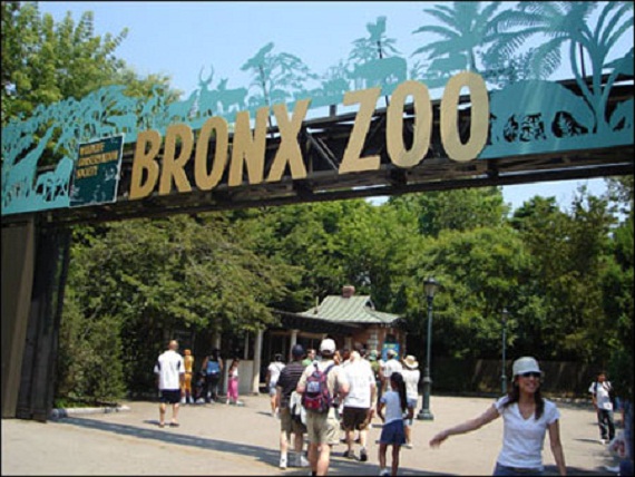 Bronx Zoo