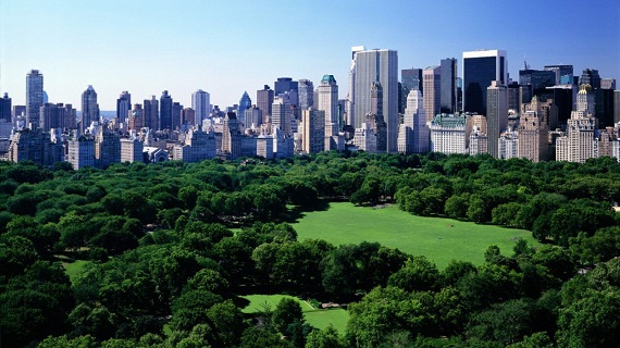 Central Park in New York