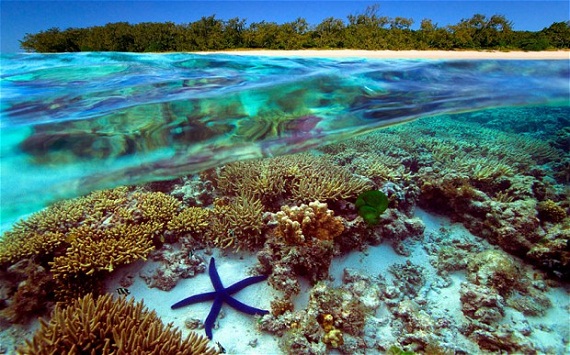 Great Barrier Reef