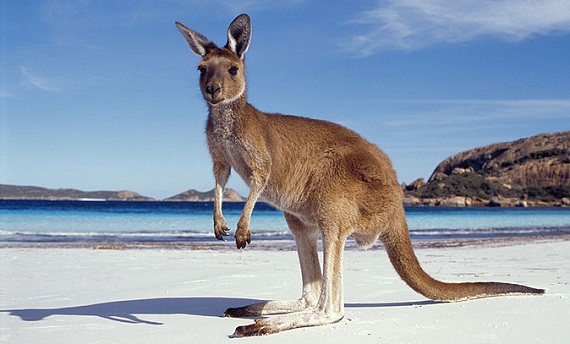 Kangaroo Island