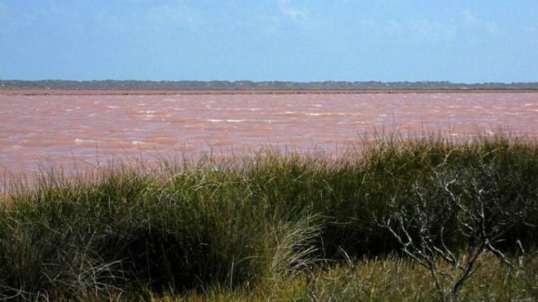 The Most Beautiful Places in the World - Pink Lake Australia