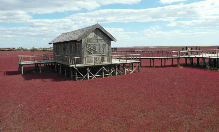 The Most Beautiful Places in the World - Panjin Red Beach, China