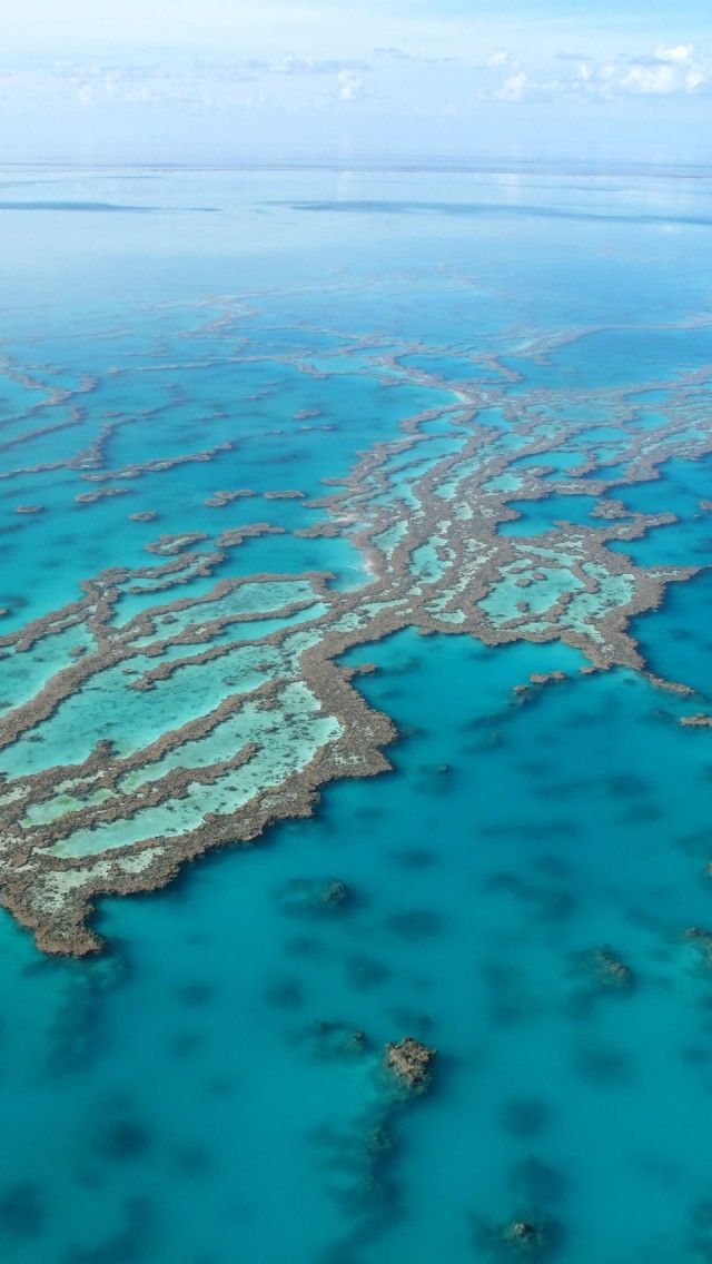 Great barrier Reef