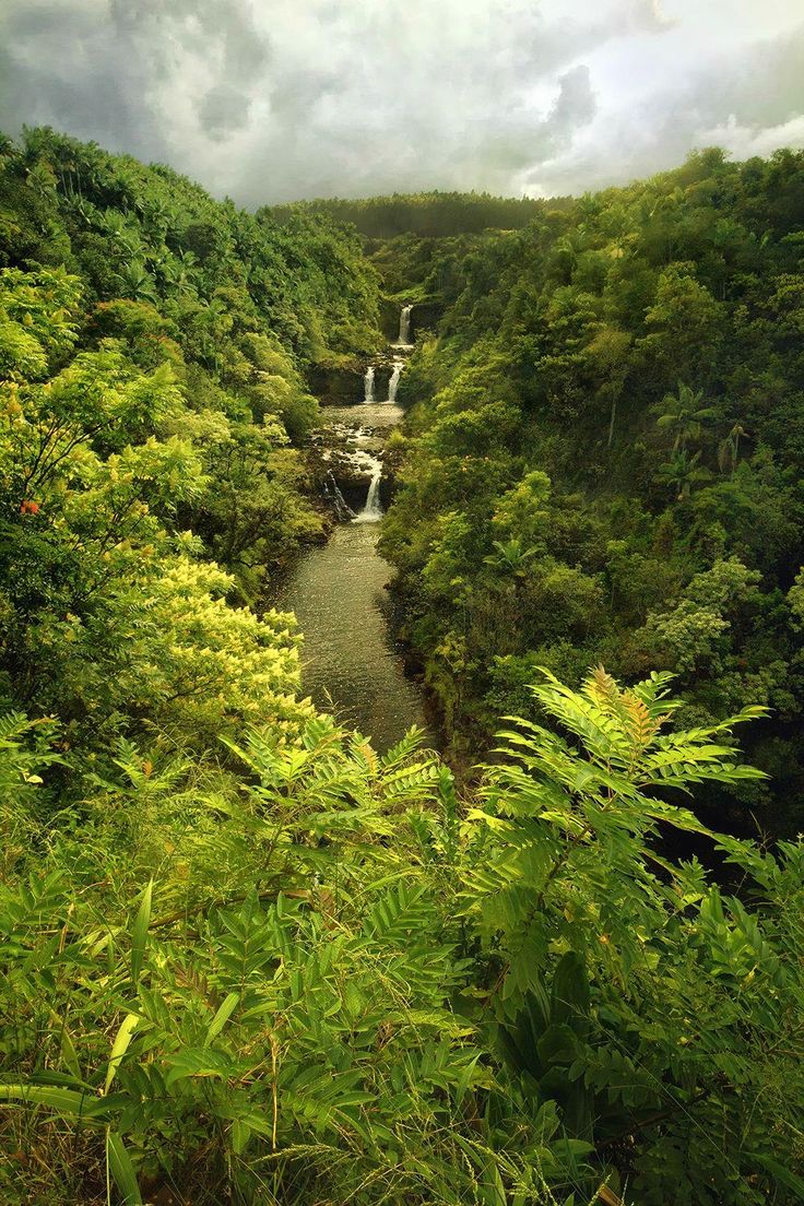 The big island Hawaii