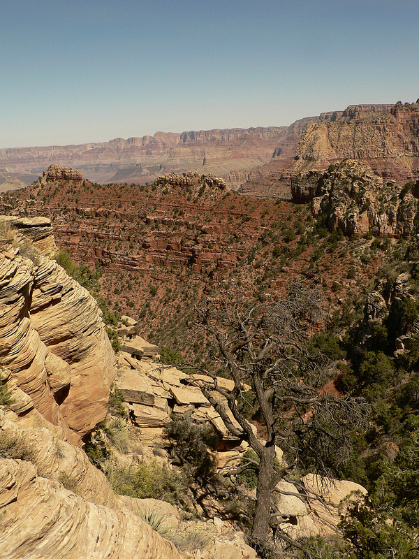 Grand Canyon, Arizona