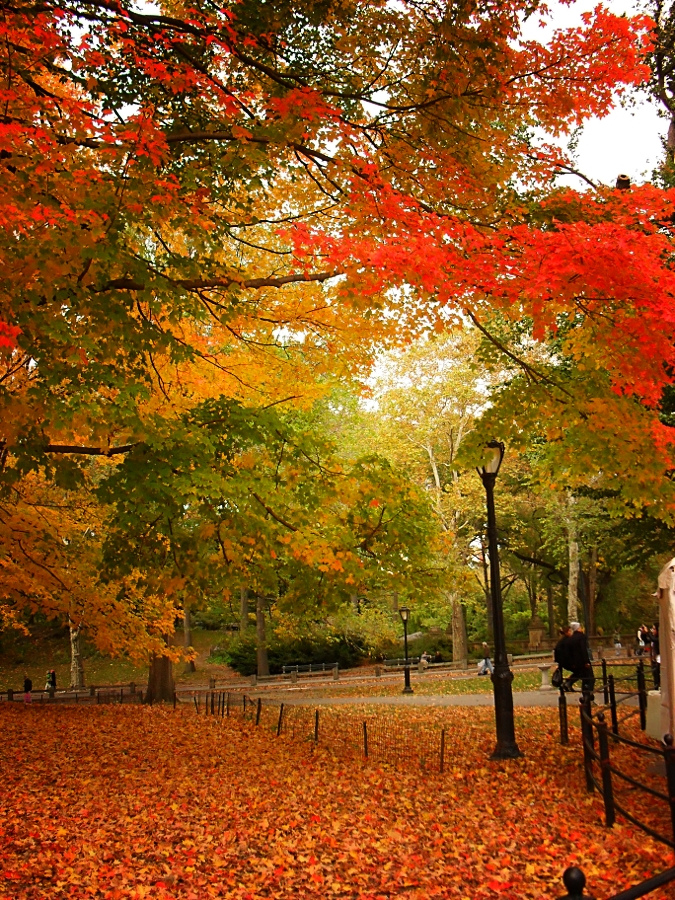 Central Park nyc