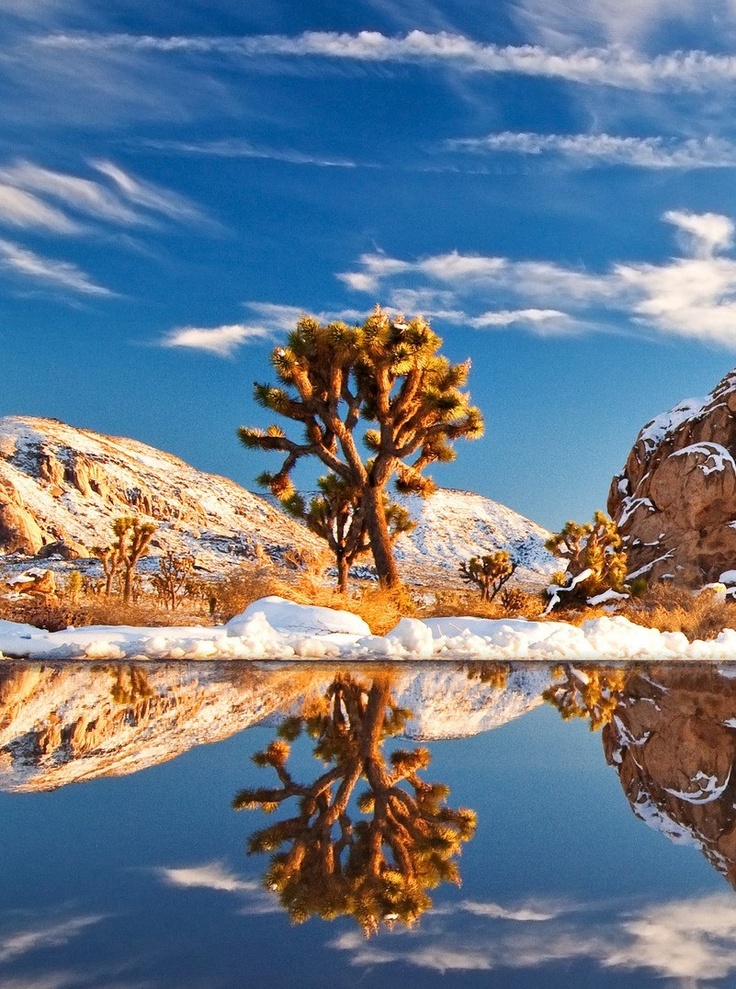 Joshua Tree National Park, California