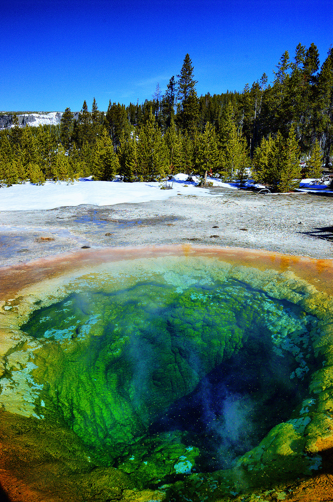 Yellowstone National Park