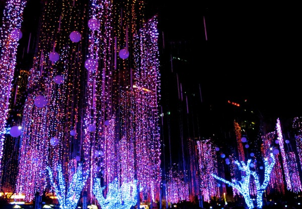 Ayala Triangle Gardens  at christmas