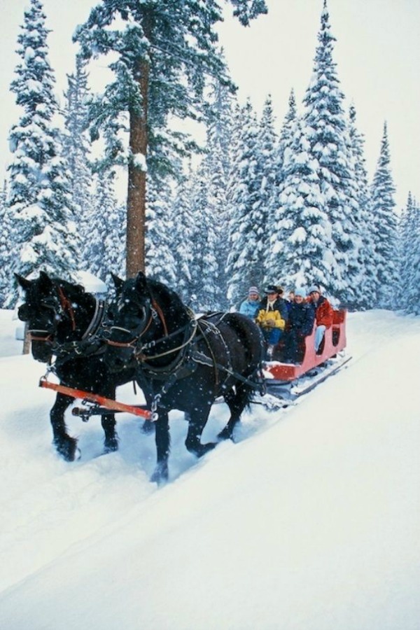 Durango, Colorado christmas