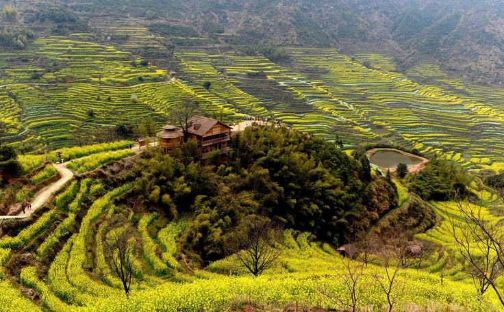 wuyuan in jiangxi