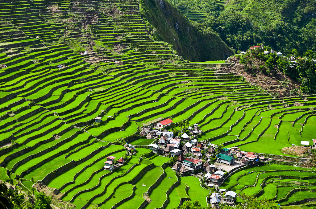 Batad Rice Terraces