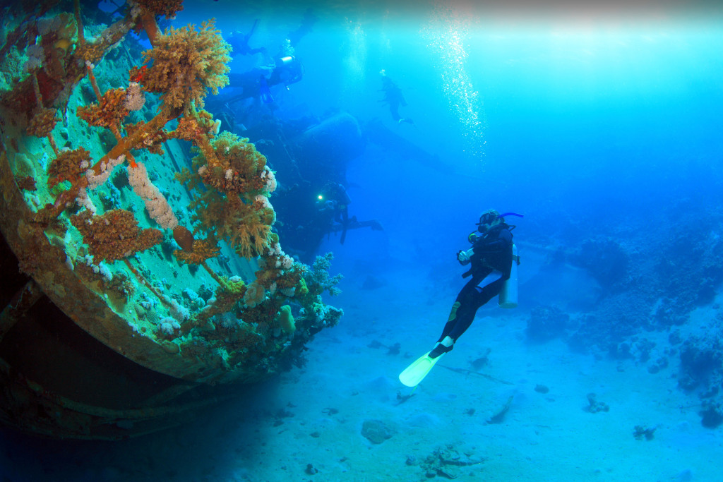 A diver exploring a Japanese shipwreck in the underwater of Coron Bay. (photo credit: twoseasonsresorts.com)