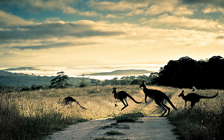 Five Reasons to Visit Central Australia