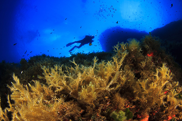 Diving in Corfu