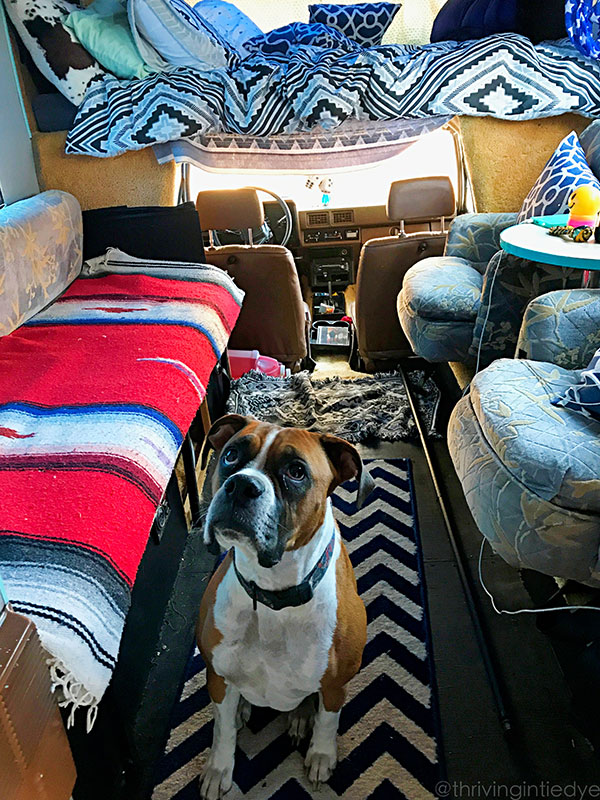 thrivingintiedye.com suzy travel blog road trip in RV